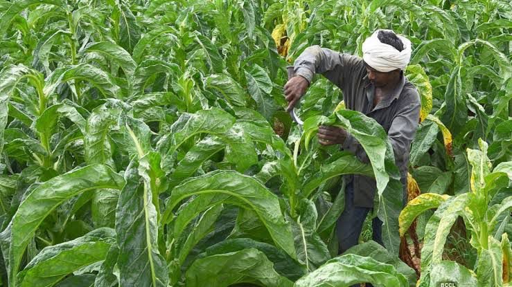 i have mortgage mangalsutra