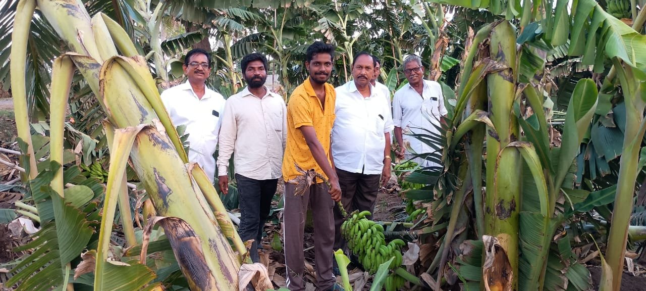 Farmers whose crops were damaged by unseasonal rains should be supported.